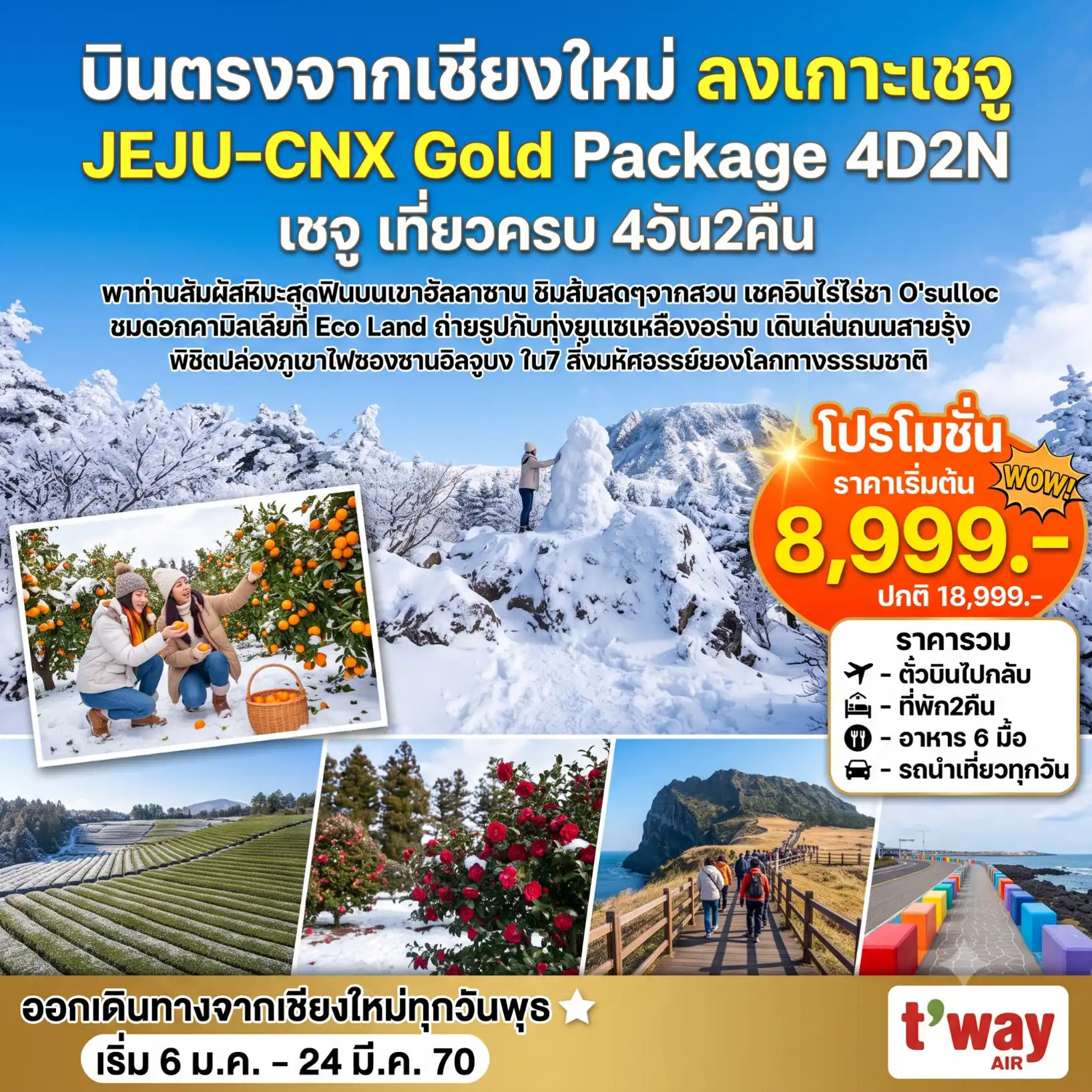 ทัวร์เกาหลี เชจู Jeju Gold Package Winter  *บินตรงเชียงใหม่* 4วัน 2คืน (TW)